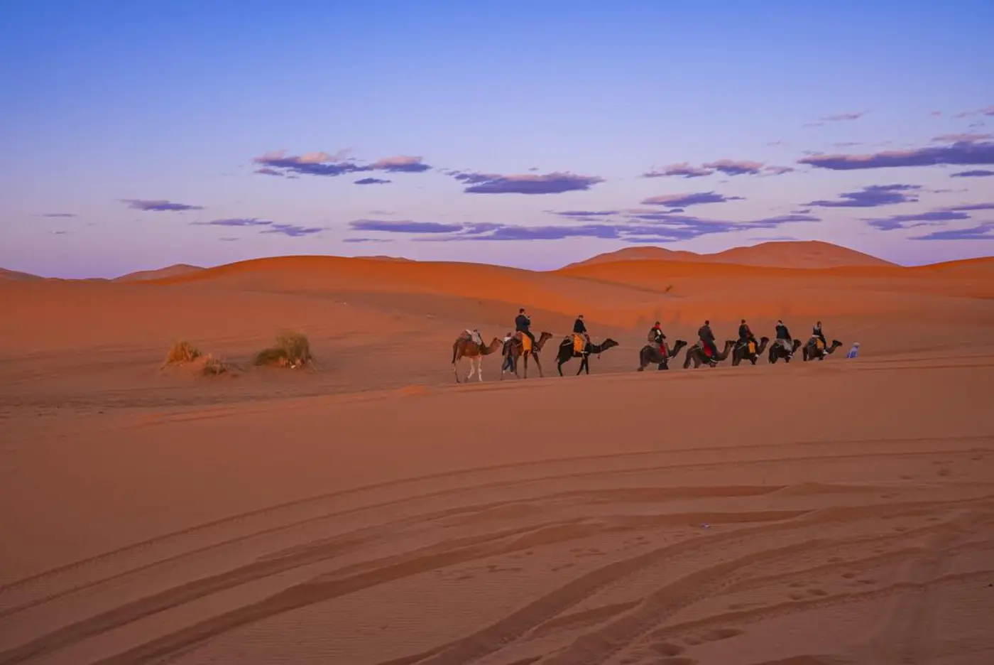 6 Dages Fes til Marrakech Ørkenrejse