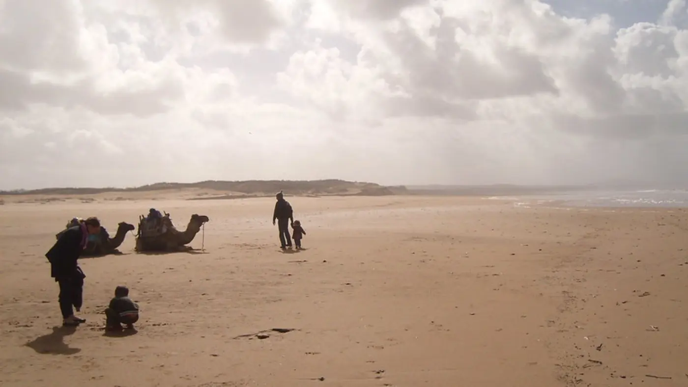 15 Dages Marokko Rundrejse: Kongebyer, Ørken og Kyst — Coastal Beach Camels