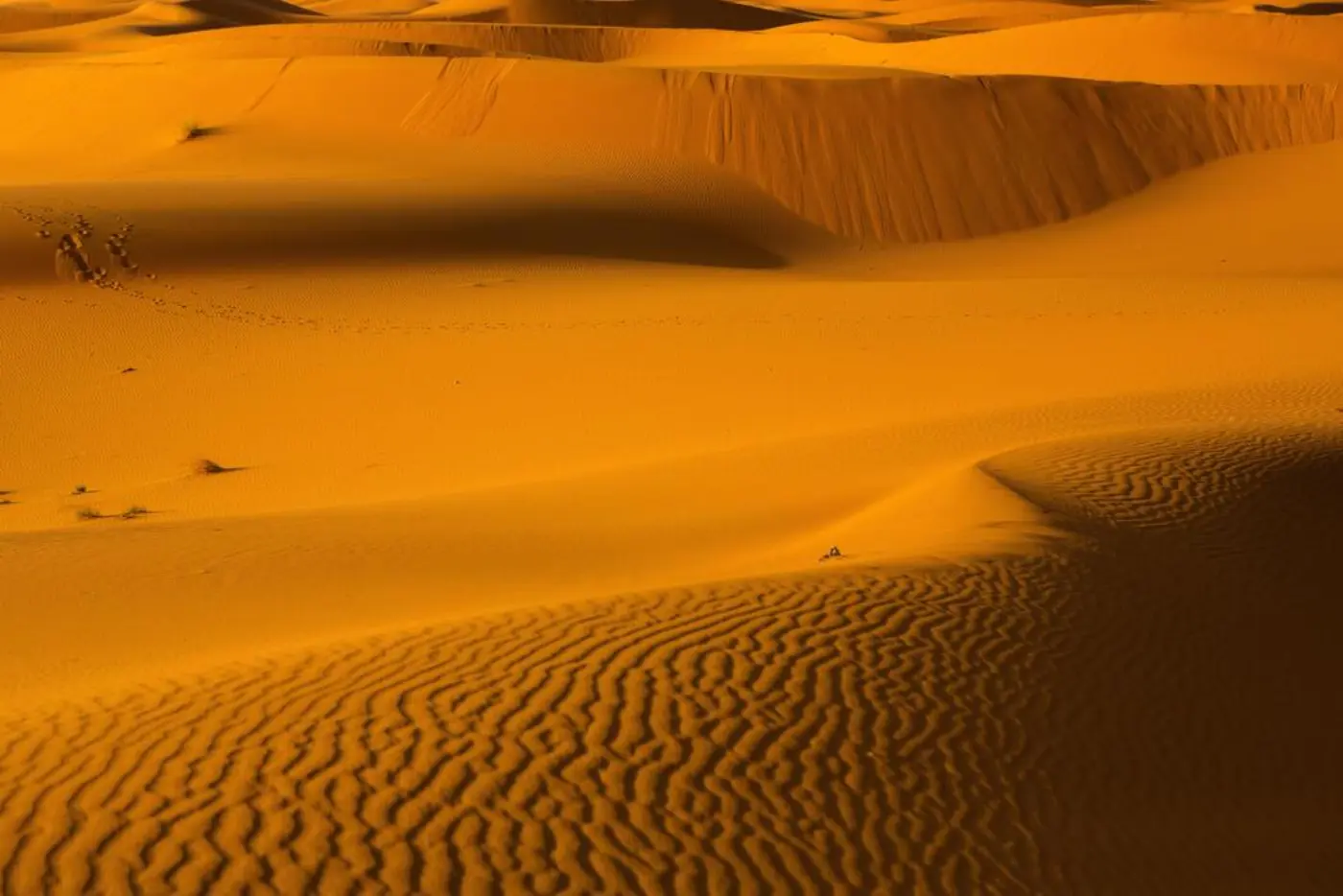 3-Dages Ørkenrejse fra Marrakech til Merzouga
